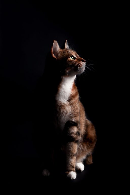 Photographe et vidéaste à Dijon, en côte d'or