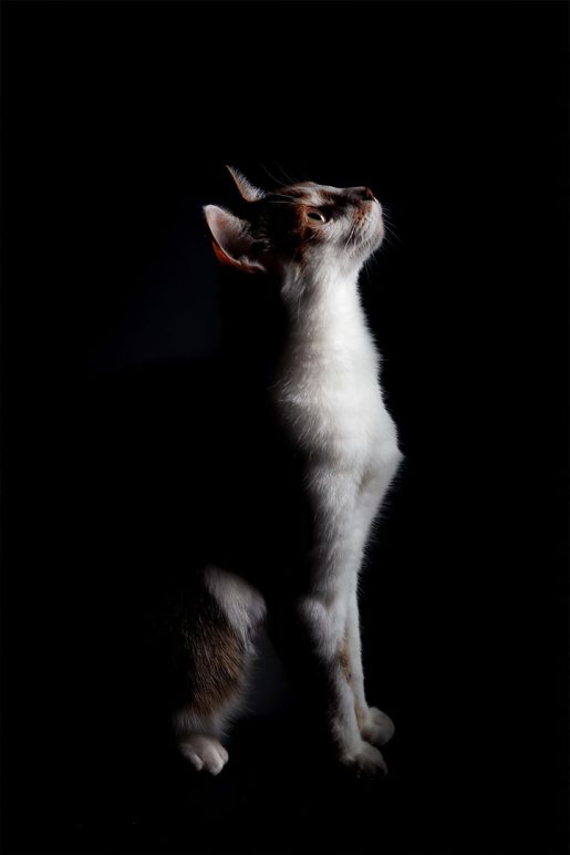 Photographe et vidéaste à Dijon, en côte d'or